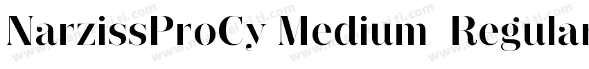 NarzissProCy Medium  Regular字体转换